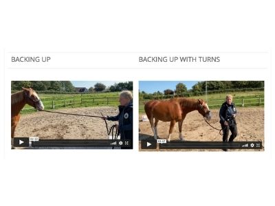 proprio training online horses