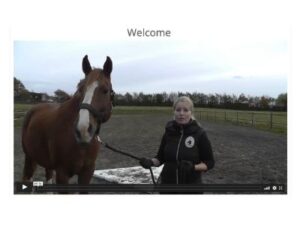 welcome proprio training online horses